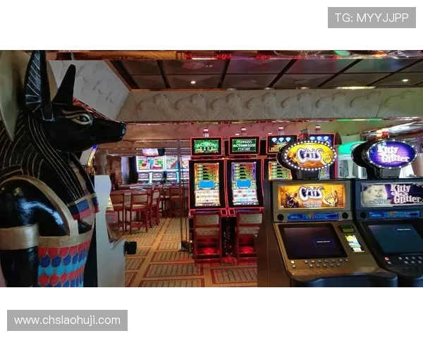 全面解析经典老虎机的基本规则与玩法策略帮助玩家提升中奖几率